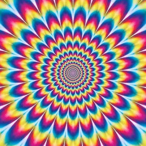 Meet your Posher, Antonia